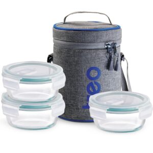 treo all fresh borosilicate glass tiffin